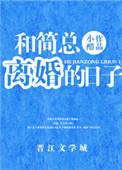 和简总离婚的日子手机