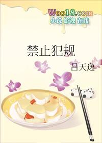 禁止犯规txt