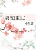 妻宠(重生)寒石也白头