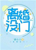 离婚没门作者娆小八