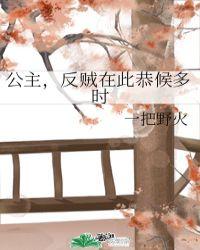 主公反贼忠臣