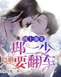 枕上强宠邢二少隐婚要翻车了