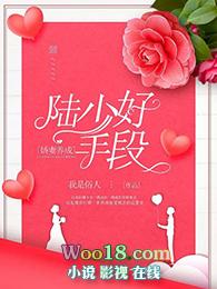 陆少宠妻上瘾