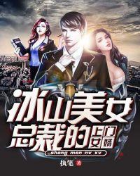 美女总裁的上门女婿一