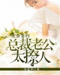 总裁先生超给力