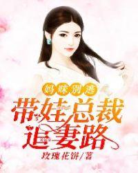 妈咪别跑总裁缉捕小逃妻