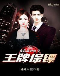 女总裁的贴身保镖改编