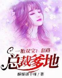 一胎双宝套路总裁爹地好欢喜