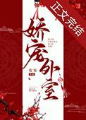 娇宠外室免费阅读