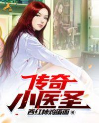 传奇医圣仙力盾