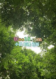 镜观 曹刚
