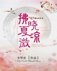 夏风轻拂