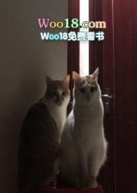 催化剂的作用
