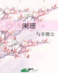 阑珊啥意思