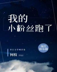 我的粉丝男友