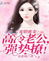 高冷老公超宠哒