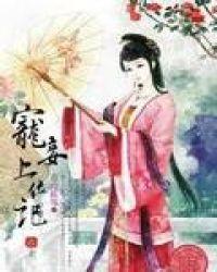 重生宠妾上位记