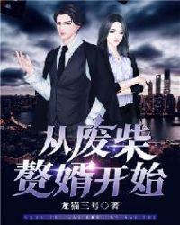 从废柴赘婿开始 聚合中文网