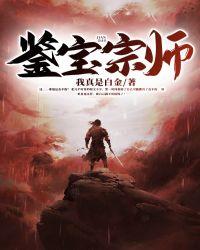 鉴宝大宗师