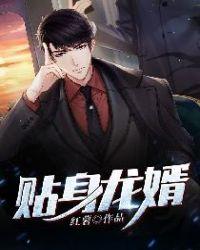 贴身兵王全集