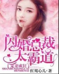 宠妻成狂闪婚总裁太霸道蓝嫣