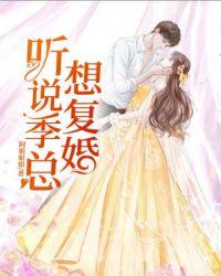 叫说季总想复婚