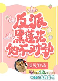 反派黑莲花