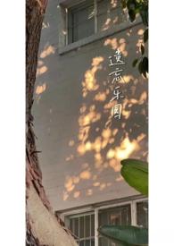 作者遗忘li