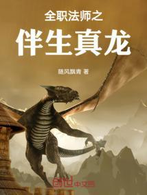 全职法师之伴生真龙叶飞扬