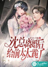 沈总的小娇妻非要离婚