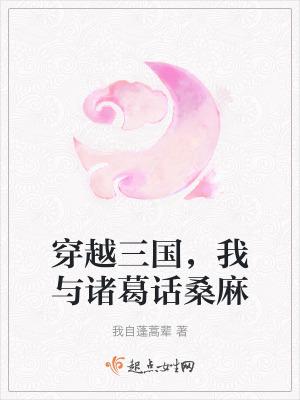 穿越到三国遇到诸葛亮的作文