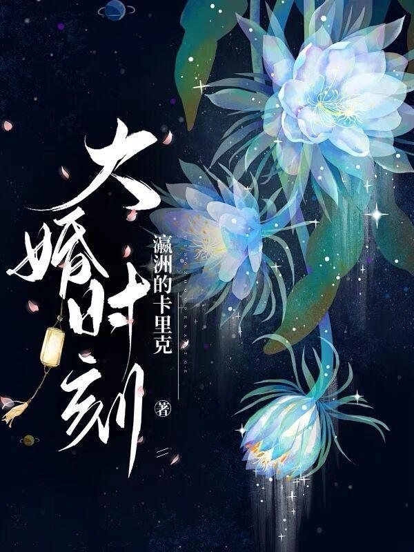 大婚时刻电视剧大结局