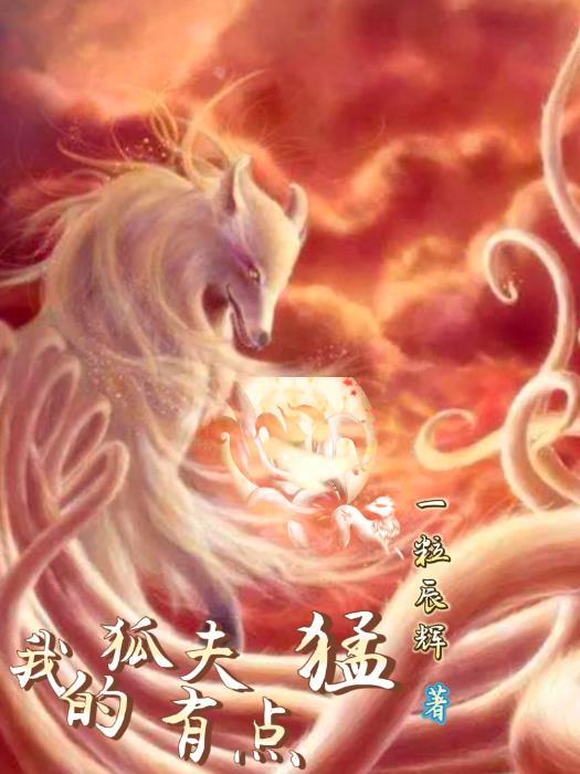 我的狐狸