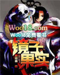 镜子果实飞卢