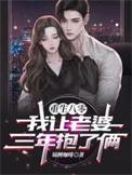 重生八零我让老婆三年抱了俩完本