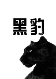 黑豹(兽人h)