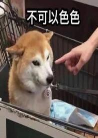 穿成年代文里的恶毒女配 许清清