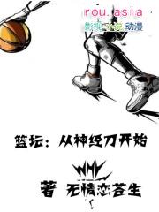 篮坛从神经刀开始 TXT精校