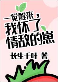 一觉醒来我怀了宿敌的孩子txt