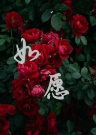 如愿合唱二声部合唱视频