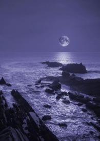 暗夜与黎明36集全免费