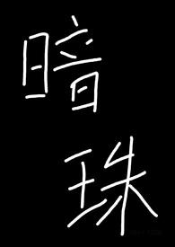 暗珠H