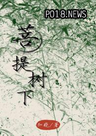 菩提树下菩提果
