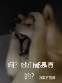 啊?她们都是真的?341