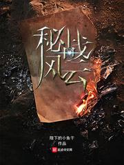 秘战风云免费高清在线播放