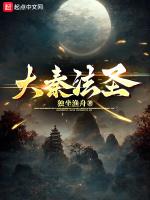 大秦圣心决