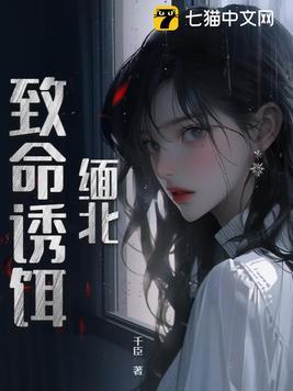 缅北致命诱饵的作者