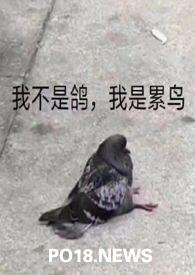 活化石的含义是什么