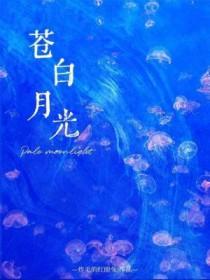 苍白月光在线阅读