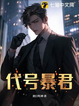 代号king的